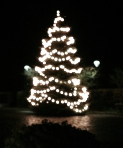 Christmas Tree in Tating!