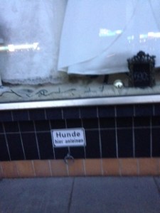 You've seen it in Western movies for horses - in Hamburg they have them rings for dogs, in front of a shop selling wedding dresses:)