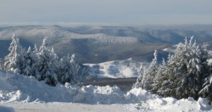 And I see my reflection in the snow-covered hill...