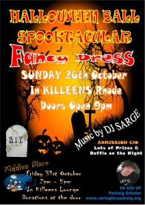 Killeens Fancy Dress (2) copy